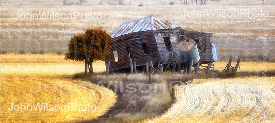 Photographic Art as Gifts – Why Photographs Are So Special